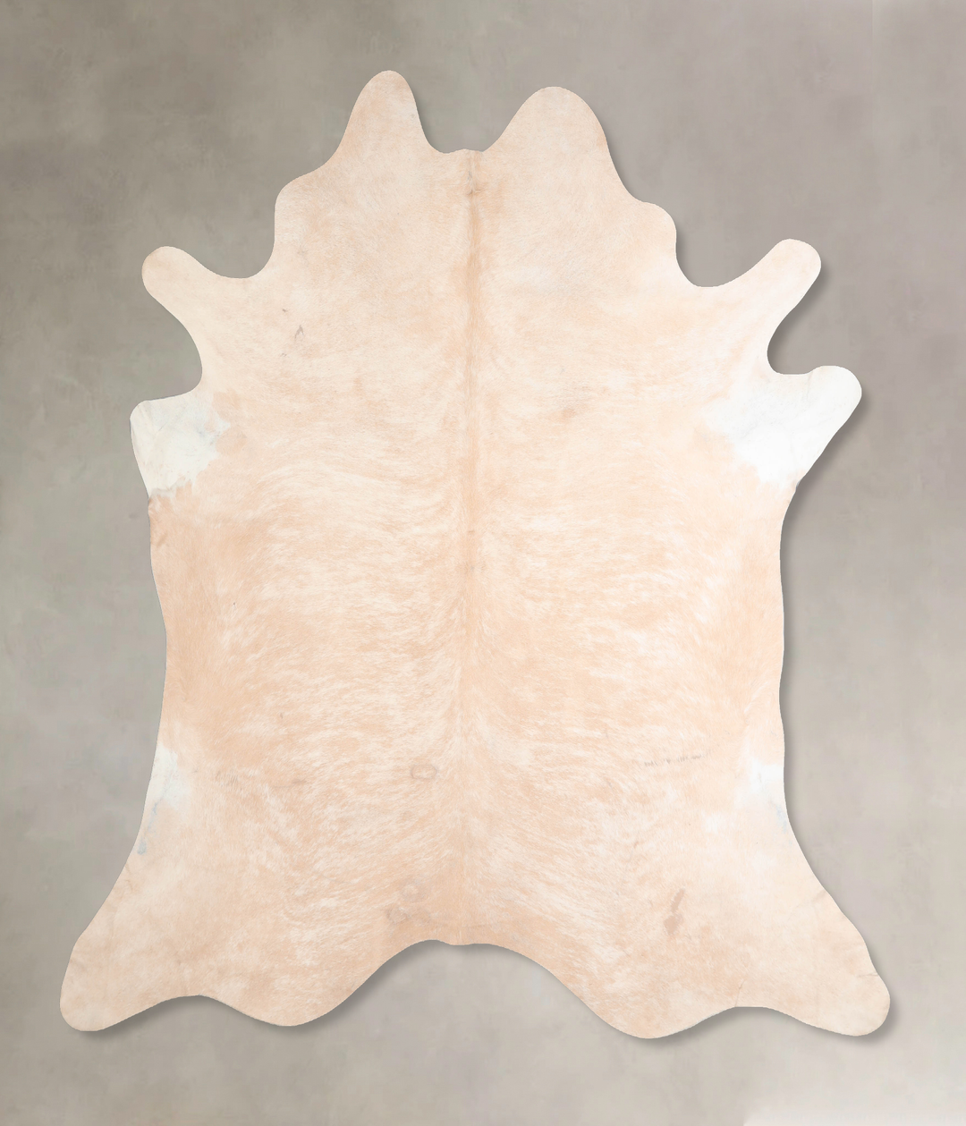 Ivory with Beige XX-Large Brazilian Cowhide Rug 7'7"H x 7'5"W #A32269 