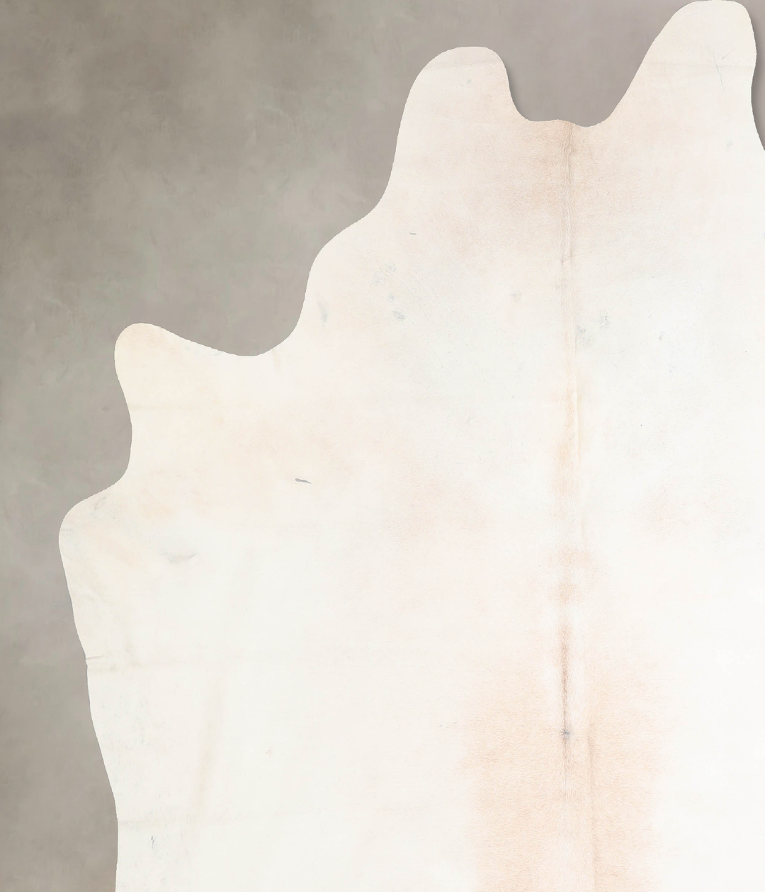 Ivory with Beige XX-Large Brazilian Cowhide Rug 7'10"H x 6'7"W #A32289