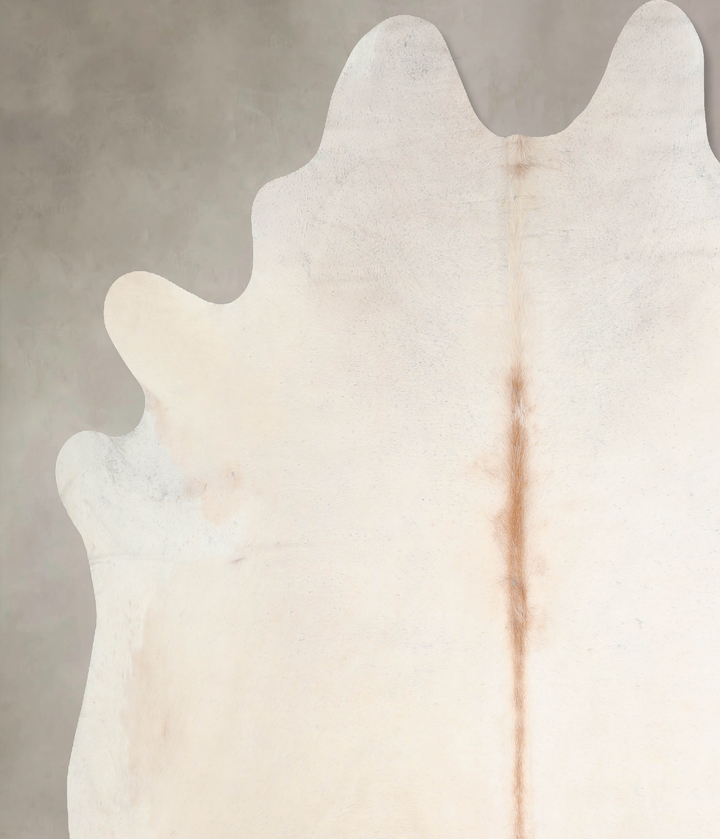 Ivory with Beige XX-Large Brazilian Cowhide Rug 8'1"H x 7'7"W #A32380 by Hudson Hides