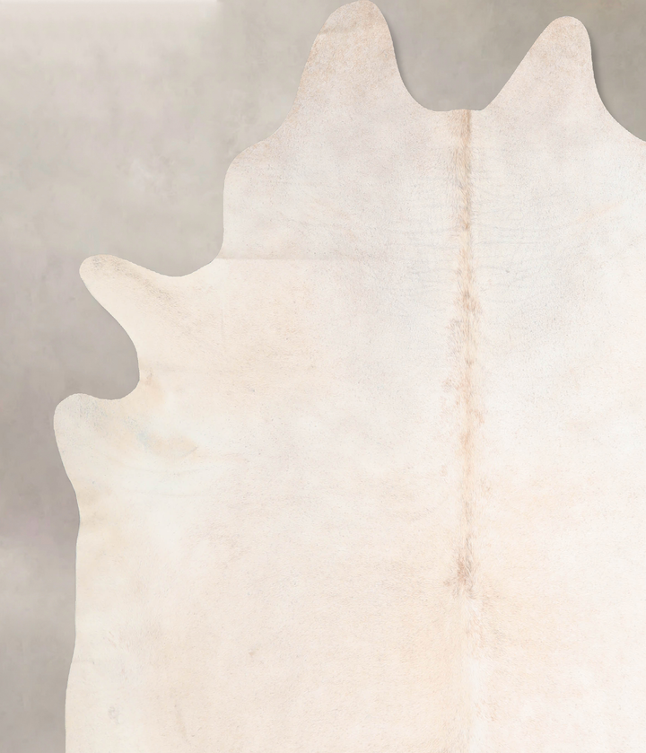 Ivory with Beige XX-Large Brazilian Cowhide Rug 8'3"H x 7'3"W #A32424 by Hudson Hides