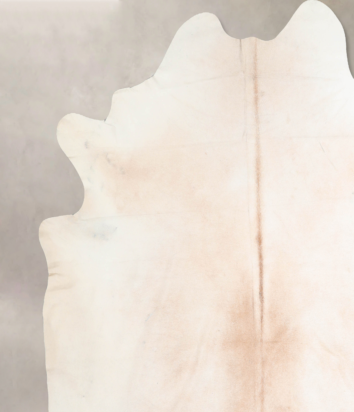 Ivory with Beige Cowhide Rug #A32431
