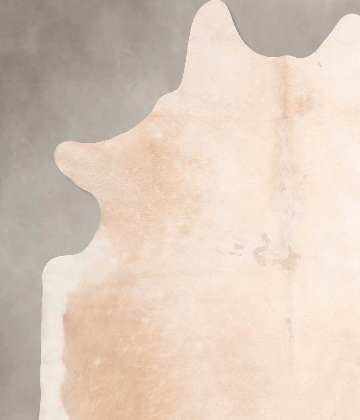 Palomino X-Large Brazilian Cowhide Rug 6'11"H x 6'3"W #A32442 by Hudson Hides
