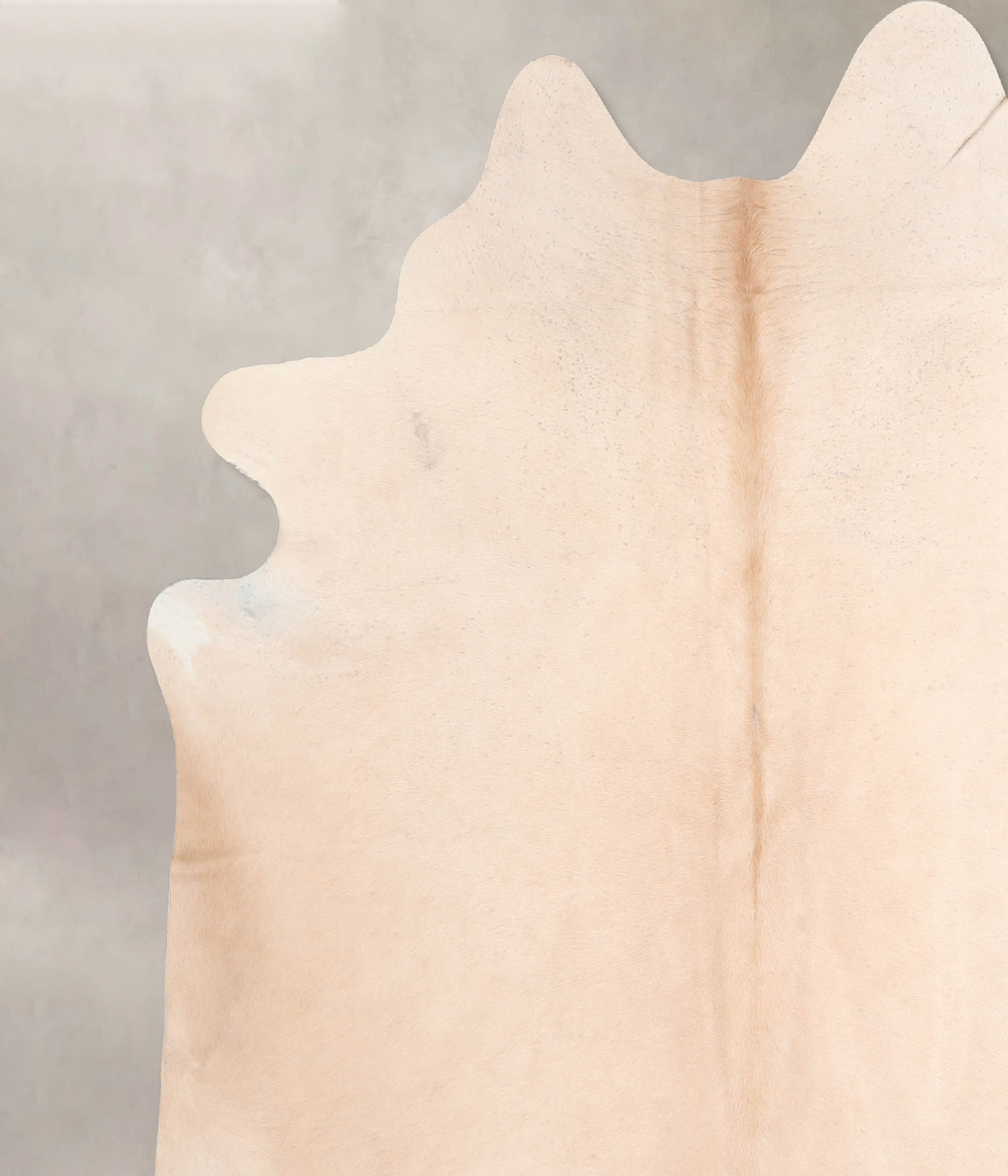 Palomino X-Large Brazilian Cowhide Rug 7'1"H x 6'6"W #A32493 by Hudson