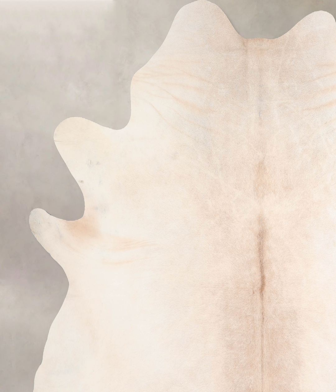 Ivory with Beige XX-Large Brazilian Cowhide Rug 7'9"H x 7'6"W #A32497 