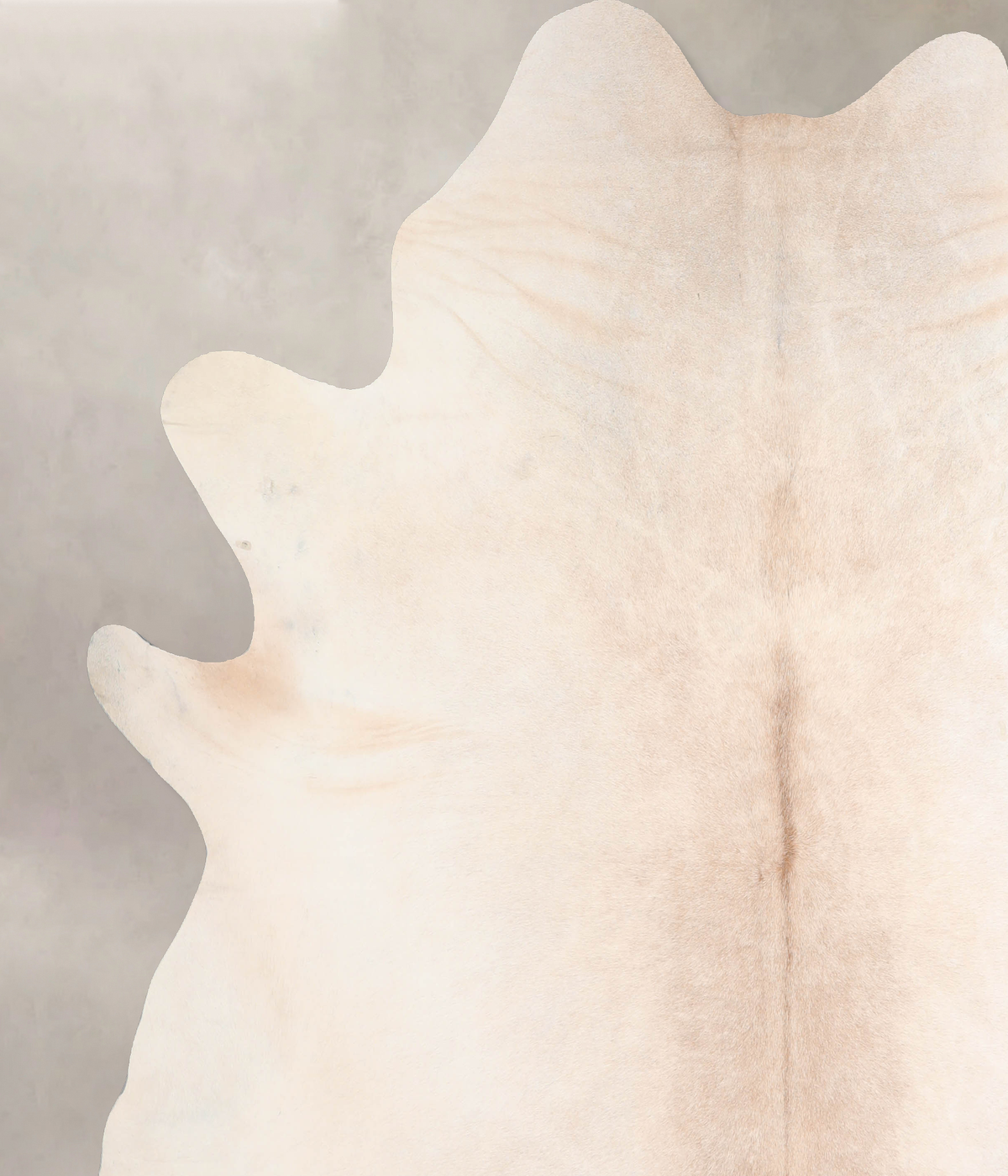 Ivory with Beige Cowhide Rug #A32497