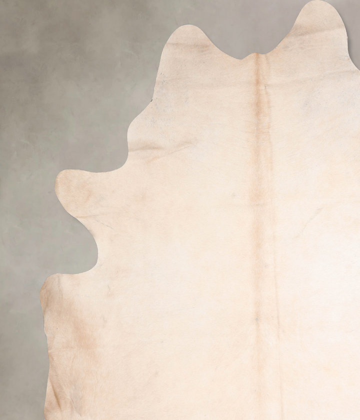 Ivory with Beige XX-Large Brazilian Cowhide Rug 8'9"H x 8'3"W #A32580 by Hudson Hides