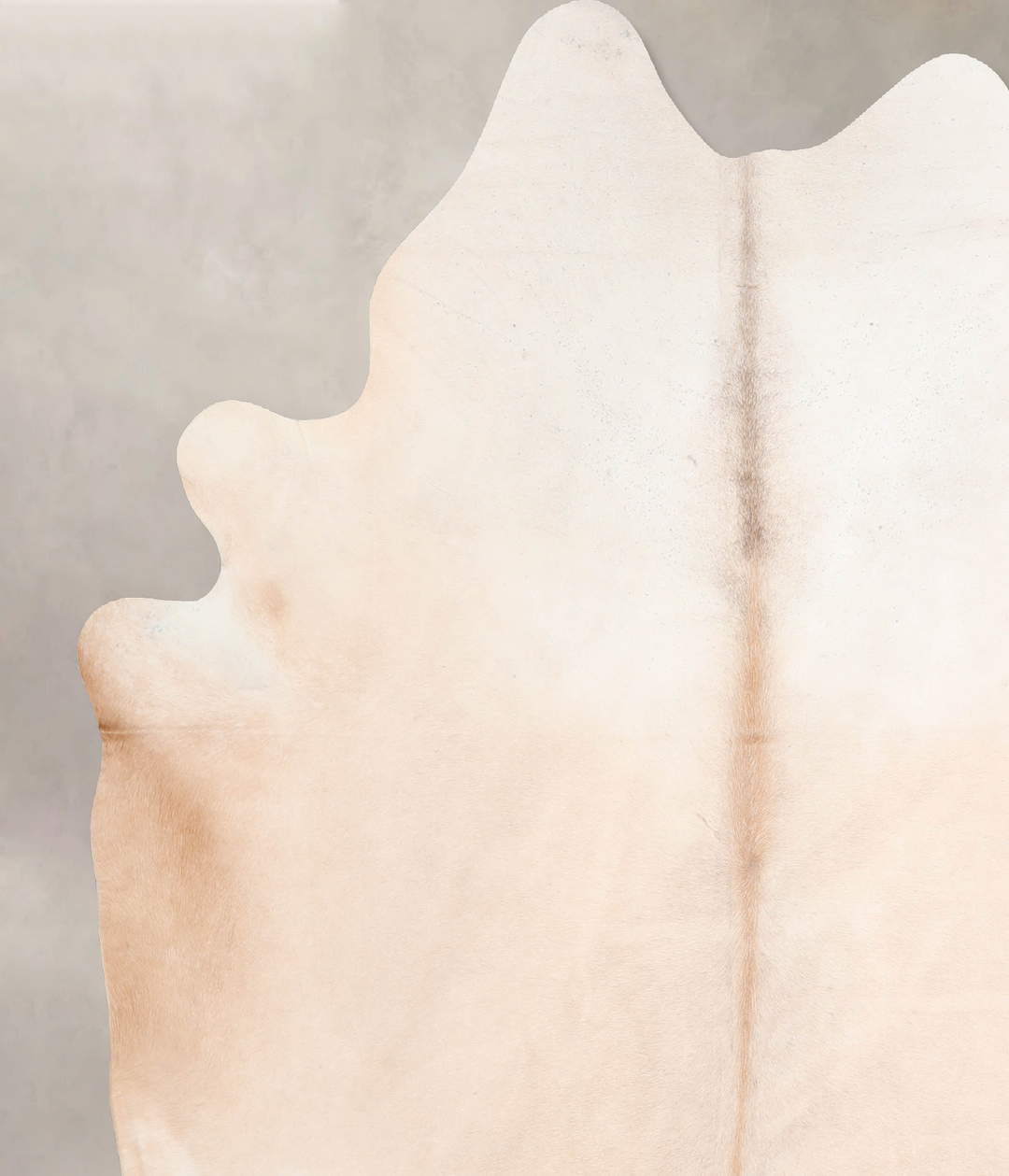 Ivory with Beige X-Large Brazilian Cowhide Rug 7'1"H x 6'3"W #A32584 b