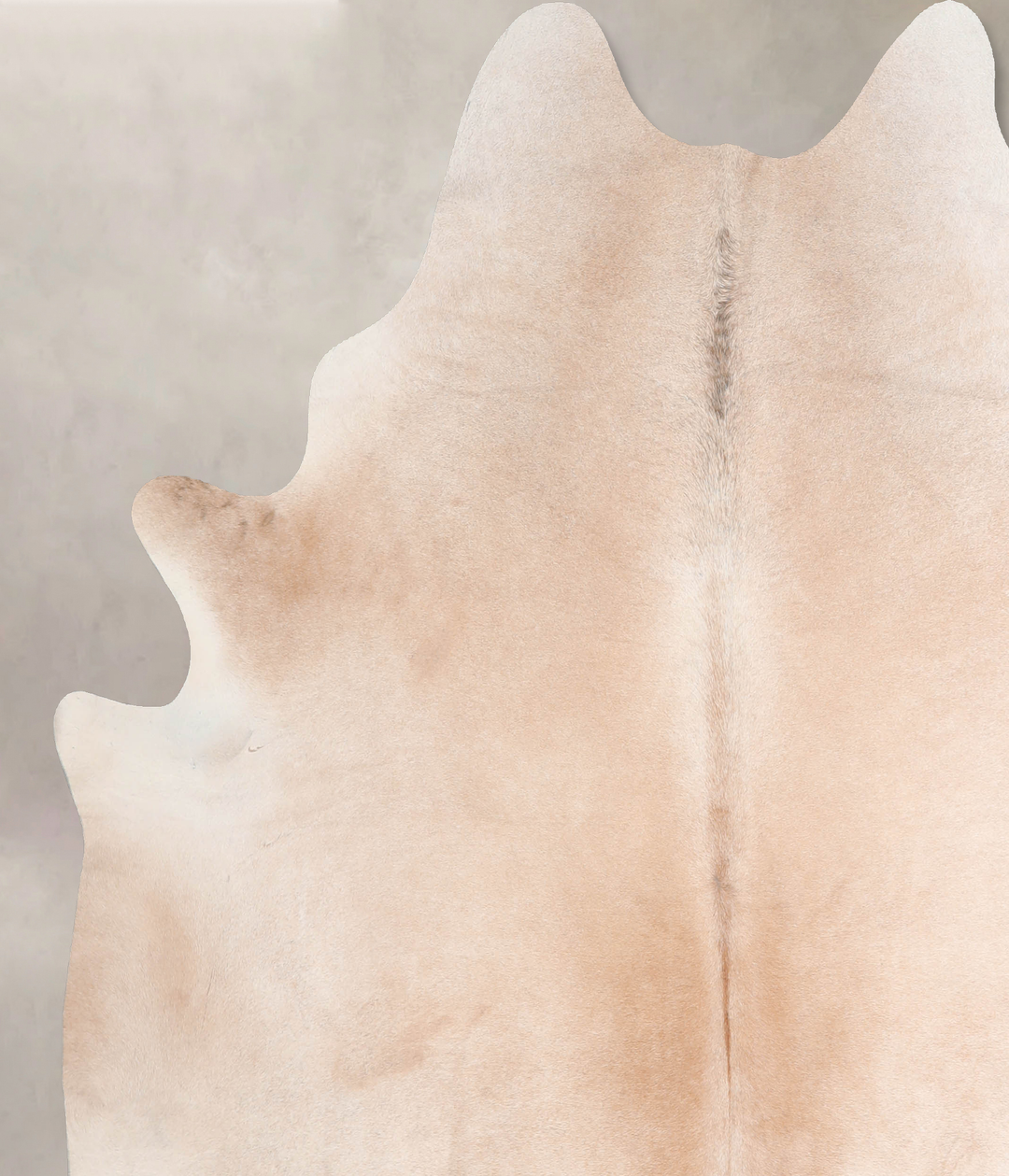 Palomino X-Large Brazilian Cowhide Rug 7'4"H x 6'7"W #A32621 by Hudson