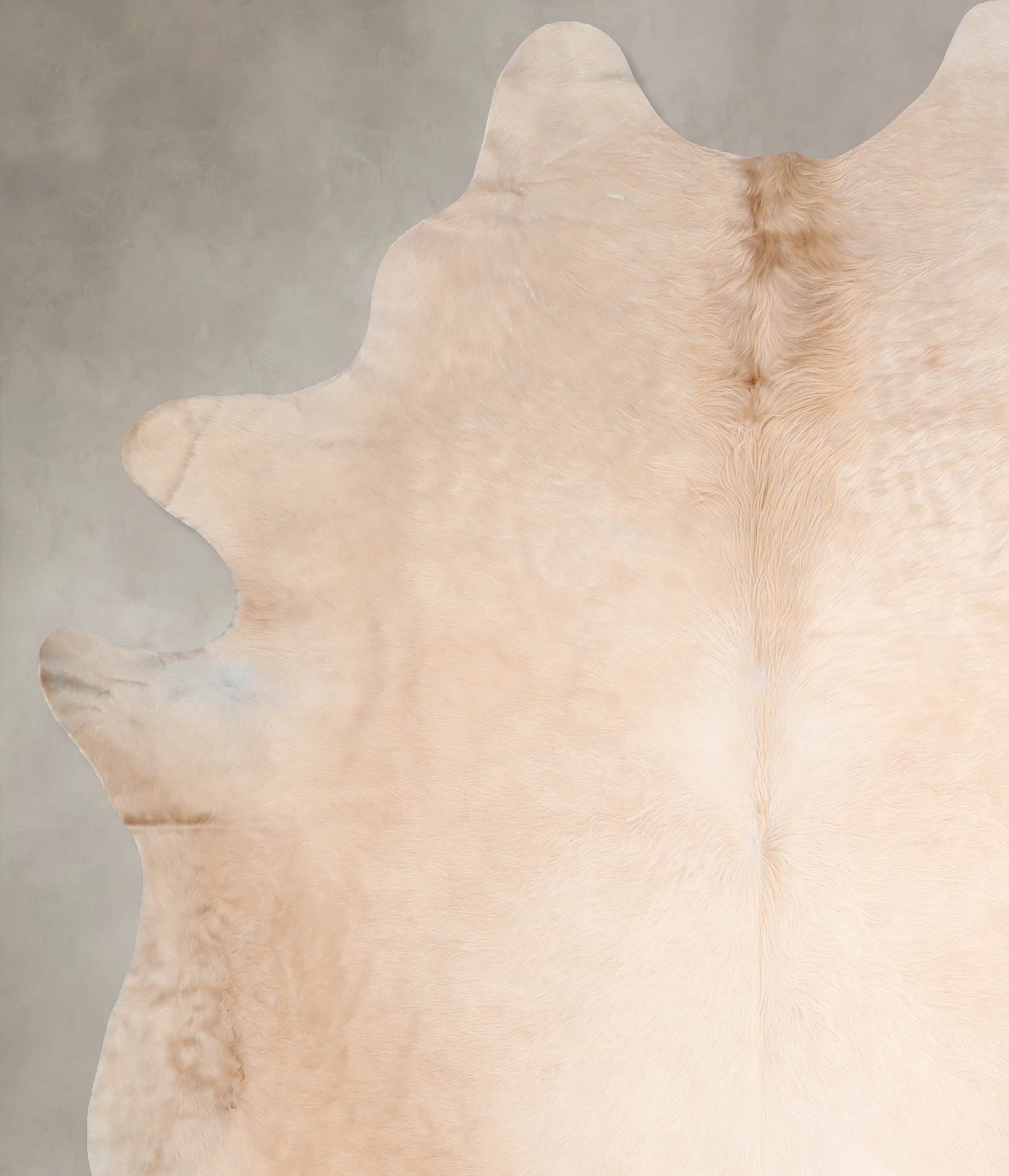 Ivory with Beige Cowhide Rug #A32627
