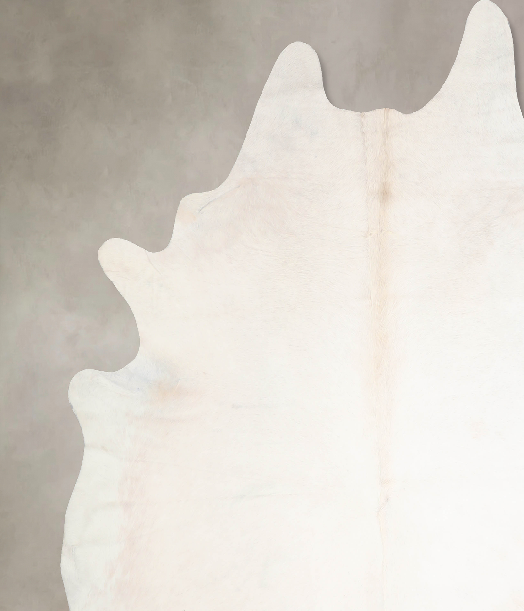 Ivory with Beige XX-Large Brazilian Cowhide Rug 8'5"H x 7'11"W #A32632