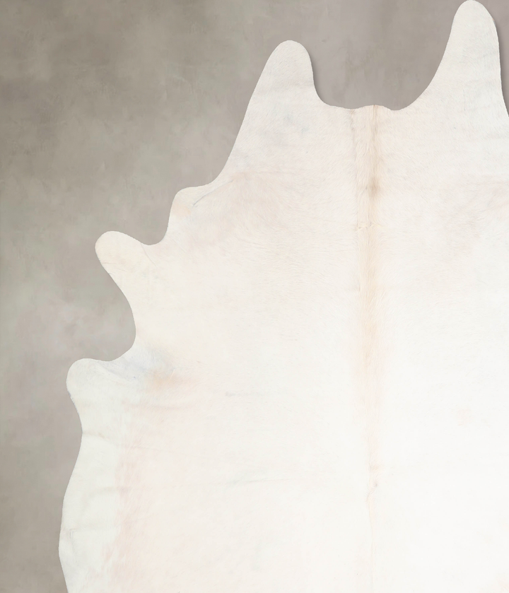 Ivory with Beige XX-Large Brazilian Cowhide Rug 8'5"H x 7'11"W #A32632 by Hudson Hides