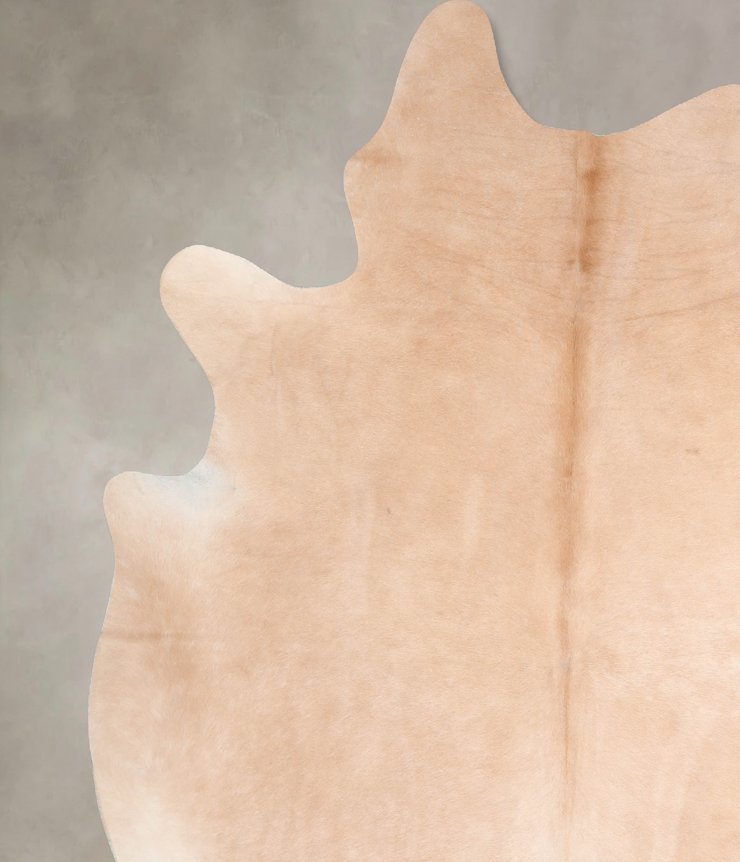 Palomino XX-Large Brazilian Cowhide Rug 7'11"H x 7'4"W #A32636 by Huds