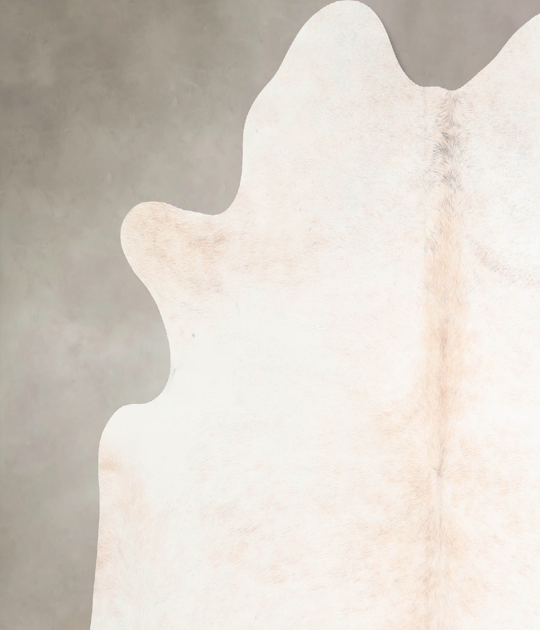 Ivory with Beige Large Brazilian Cowhide Rug 6'4"H x 6'2"W #A32724 by 