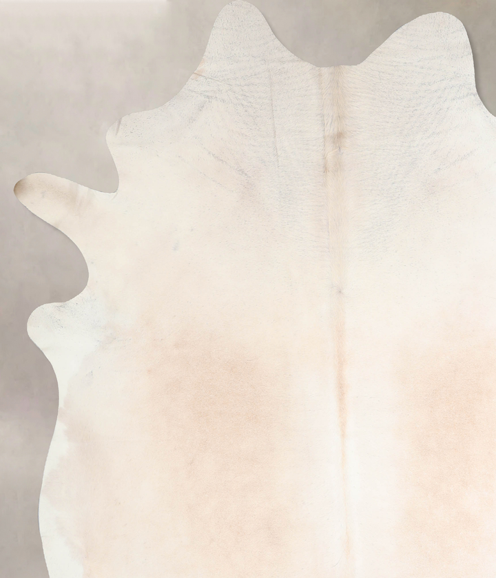 Ivory with Beige XX-Large Brazilian Cowhide Rug 8'0"H x 6'11"W #A32764 by Hudson Hides