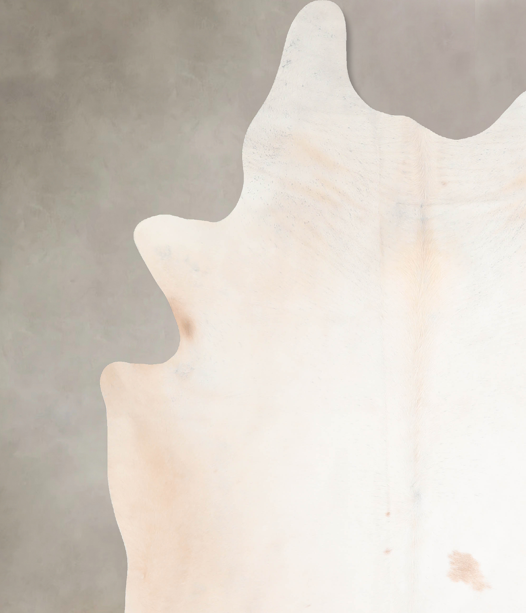 Ivory with Beige XX-Large Brazilian Cowhide Rug 8'0"H x 6'10"W #A32792