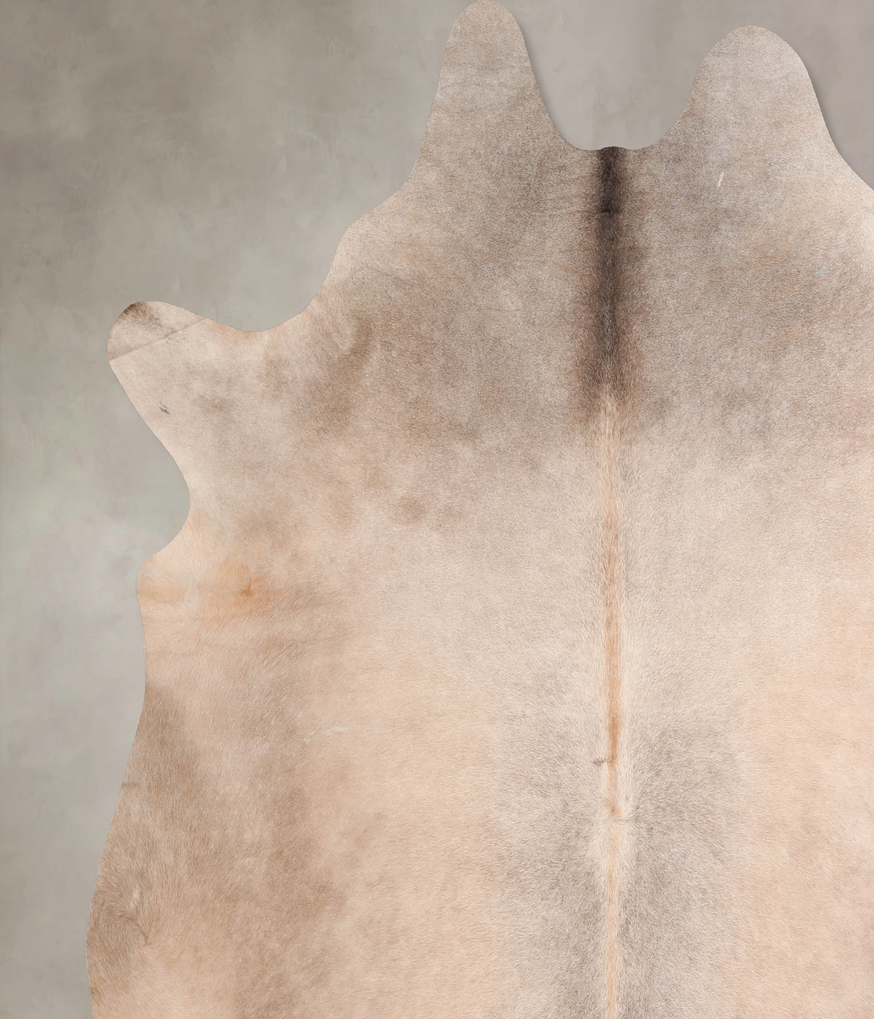 Champagne Cowhide Rug #A32854