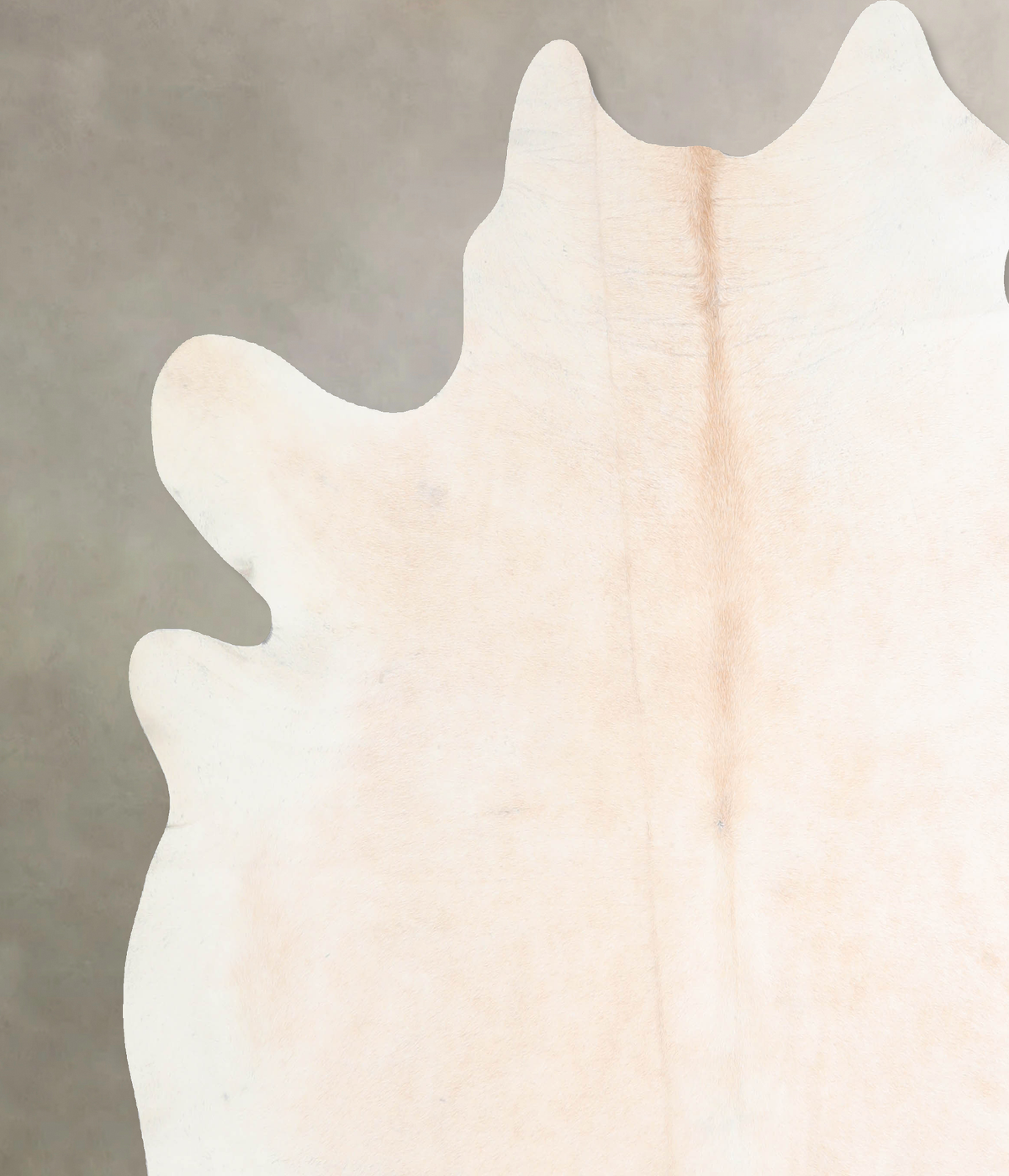 Ivory with Beige Cowhide Rug #A32868