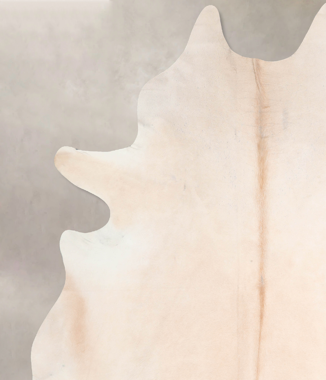 Beige XX-Large Brazilian Cowhide Rug 7'11"H x 6'6"W #A32899 by Hudson 