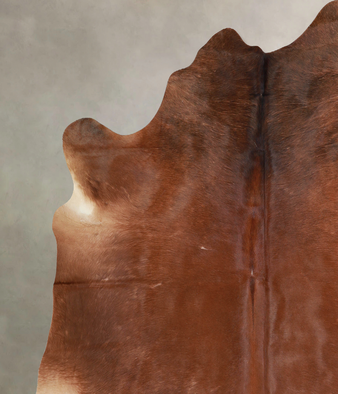 Solid Brown XX-Large Brazilian Cowhide Rug 7'6"H x 6'9"W #A32969 by Hu