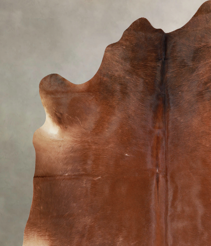 Solid Brown XX-Large Brazilian Cowhide Rug 7'6"H x 6'9"W #A32969 by Hudson Hides