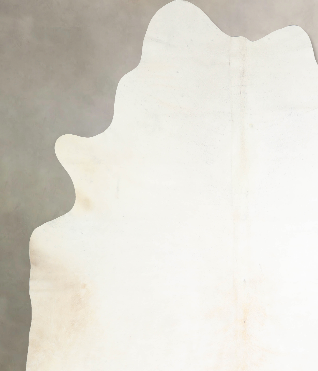 Ivory with Beige XX-Large Brazilian Cowhide Rug 8'5"H x 7'4"W #A32983 