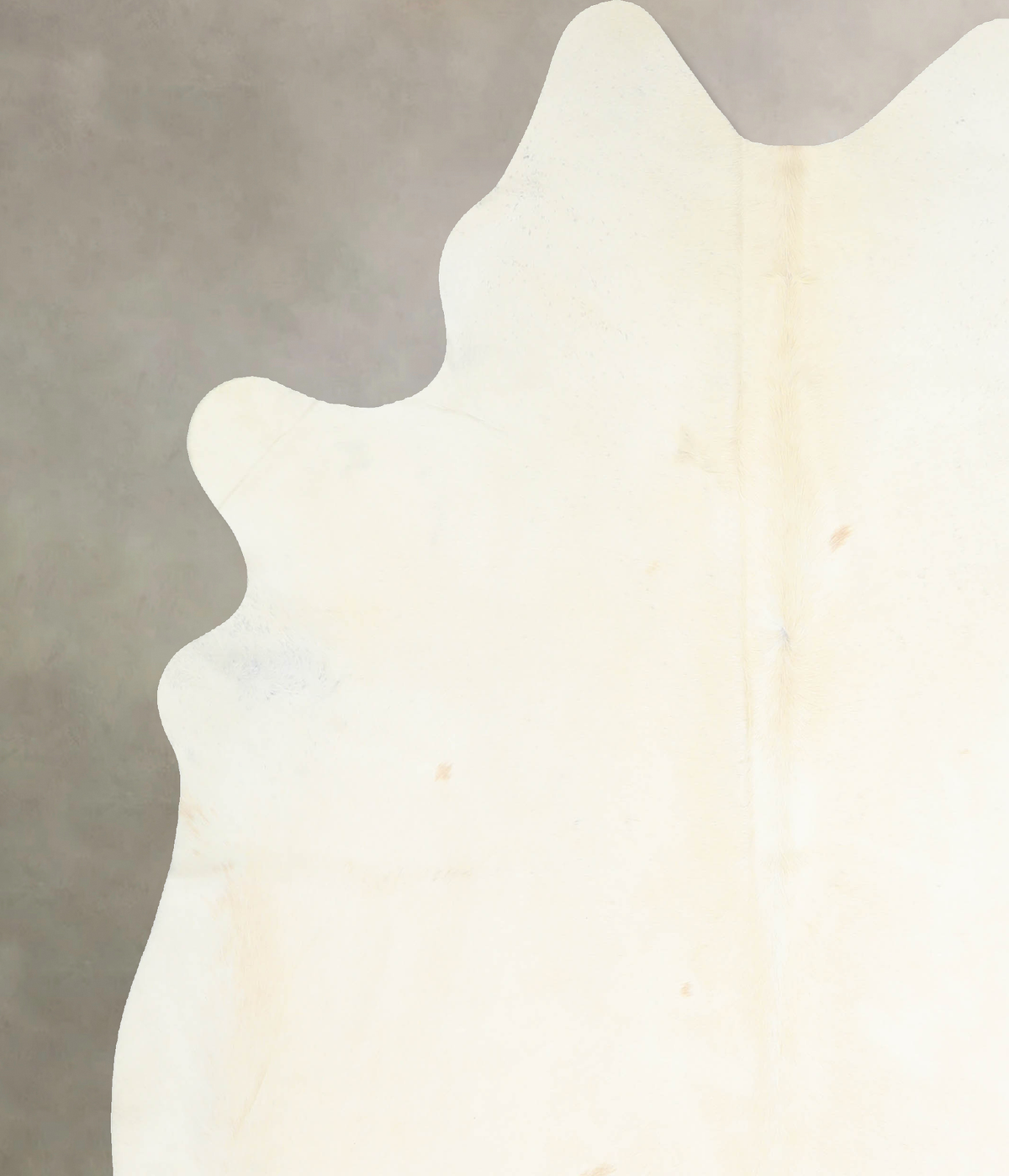 Ivory with Beige X-Large Brazilian Cowhide Rug 7'4"H x 6'7"W #A32992 by Hudson Hides