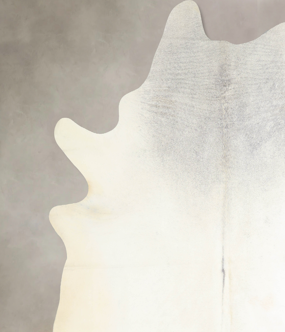 Light Grey XX-Large Brazilian Cowhide Rug 8'1"H x 7'4"W #A32996 by Hud