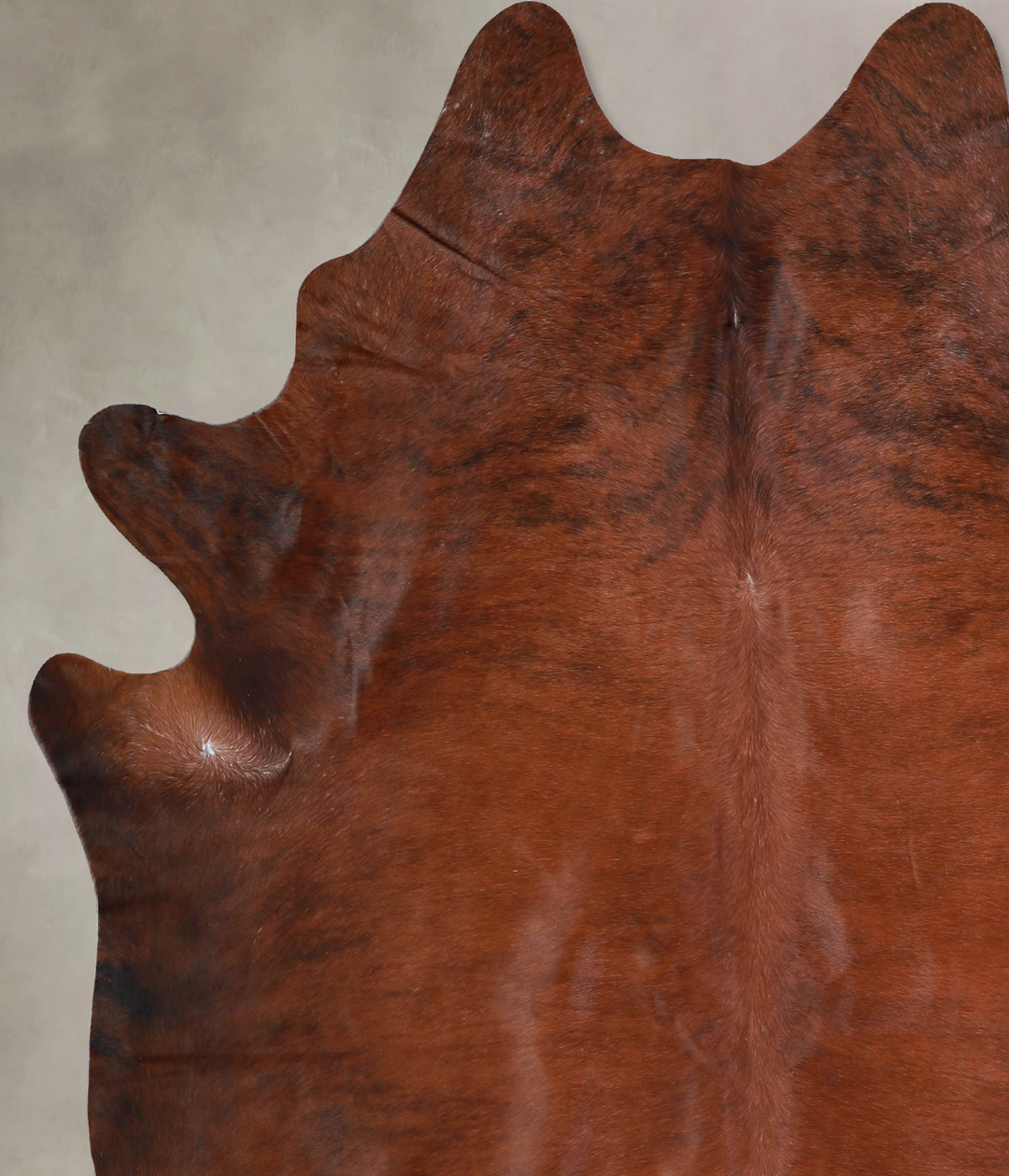 Medium Brindle X-Large Brazilian Cowhide Rug 7'2"H x 6'3"W #A33063 by 
