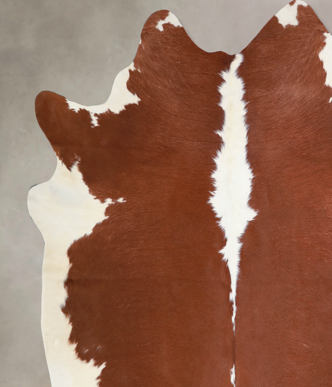 Hereford X-Large Brazilian Cowhide Rug 6'6"H x 6'11"W #A33087 by Hudso
