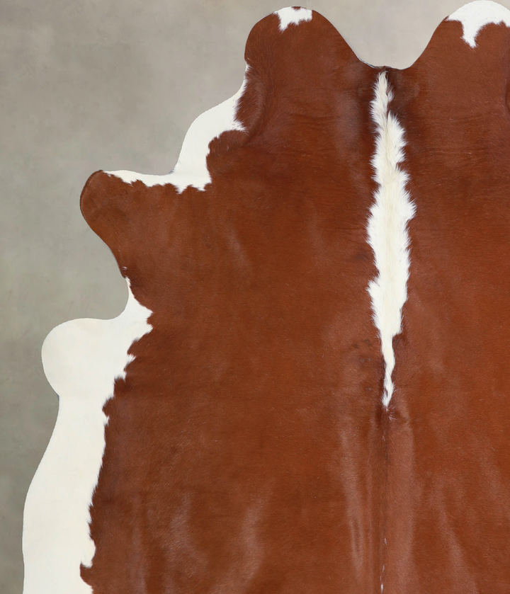 Hereford X-Large Brazilian Cowhide Rug 6'9"H x 6'0"W #A33089 by Hudson Hides