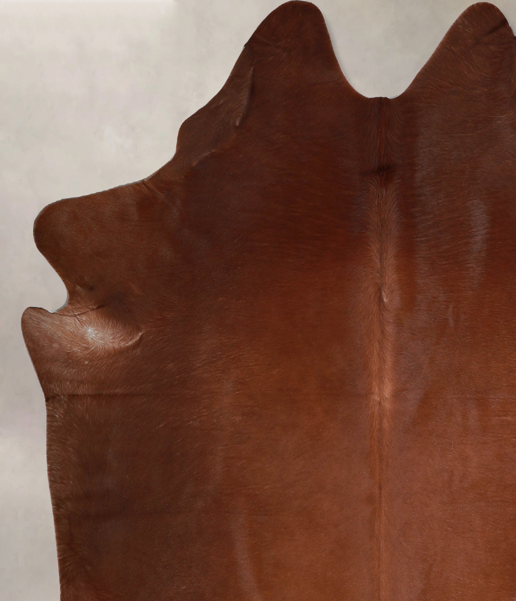 Solid Brown Cowhide Rug #A33226