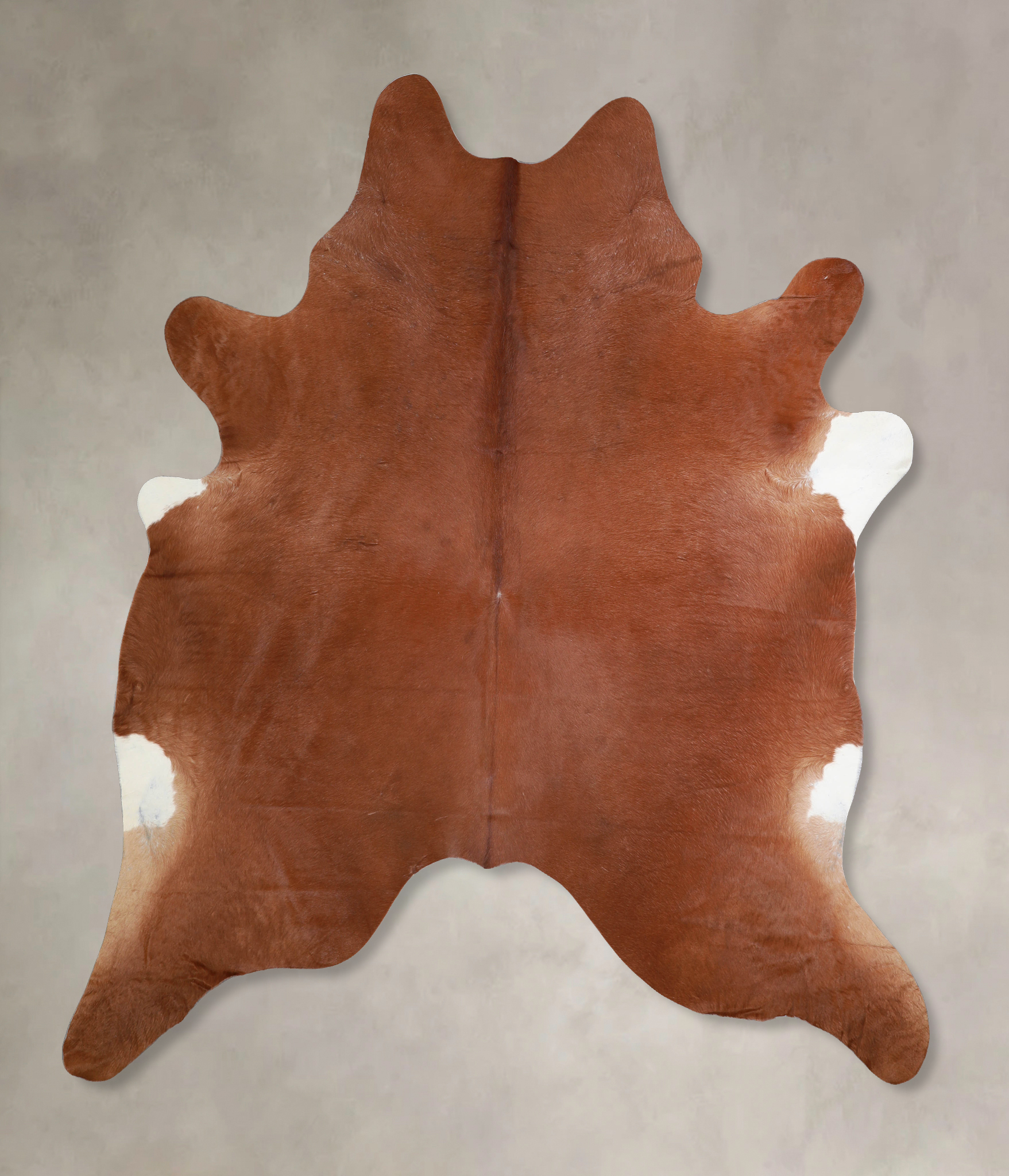 Solid Brown Cowhide Rug #A33280