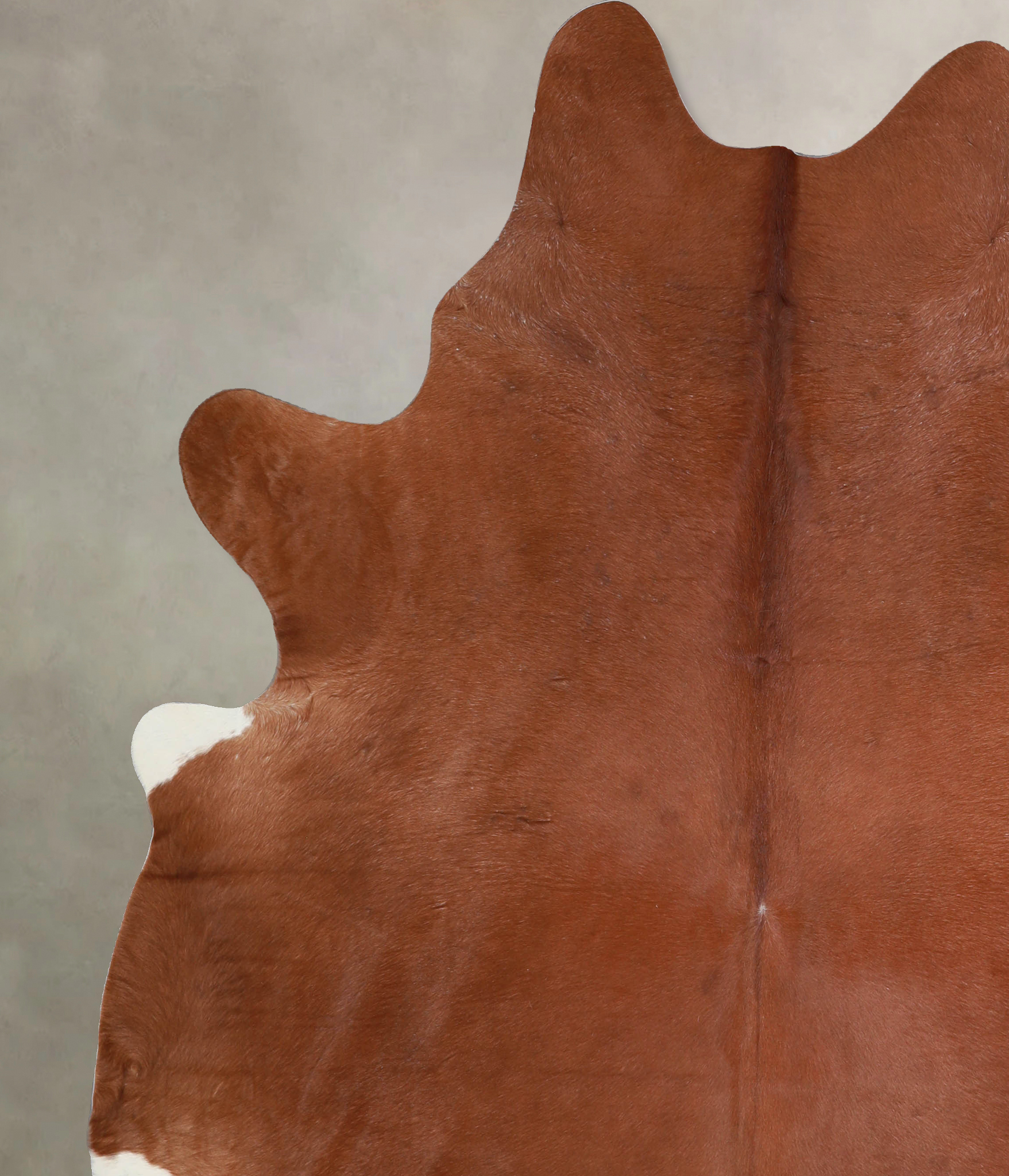Solid Brown Cowhide Rug #A33280