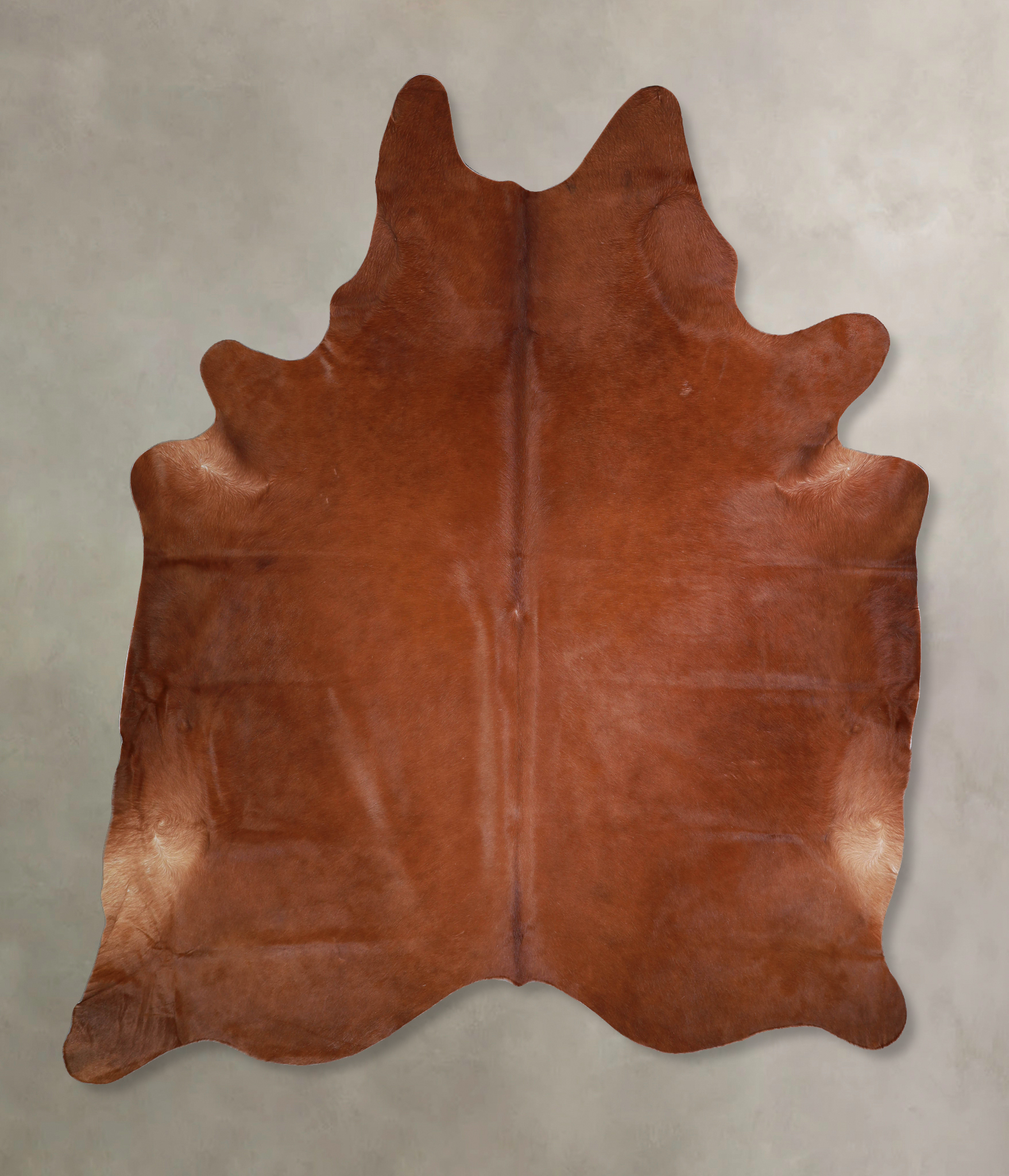 Solid Brown Cowhide Rug #A33299