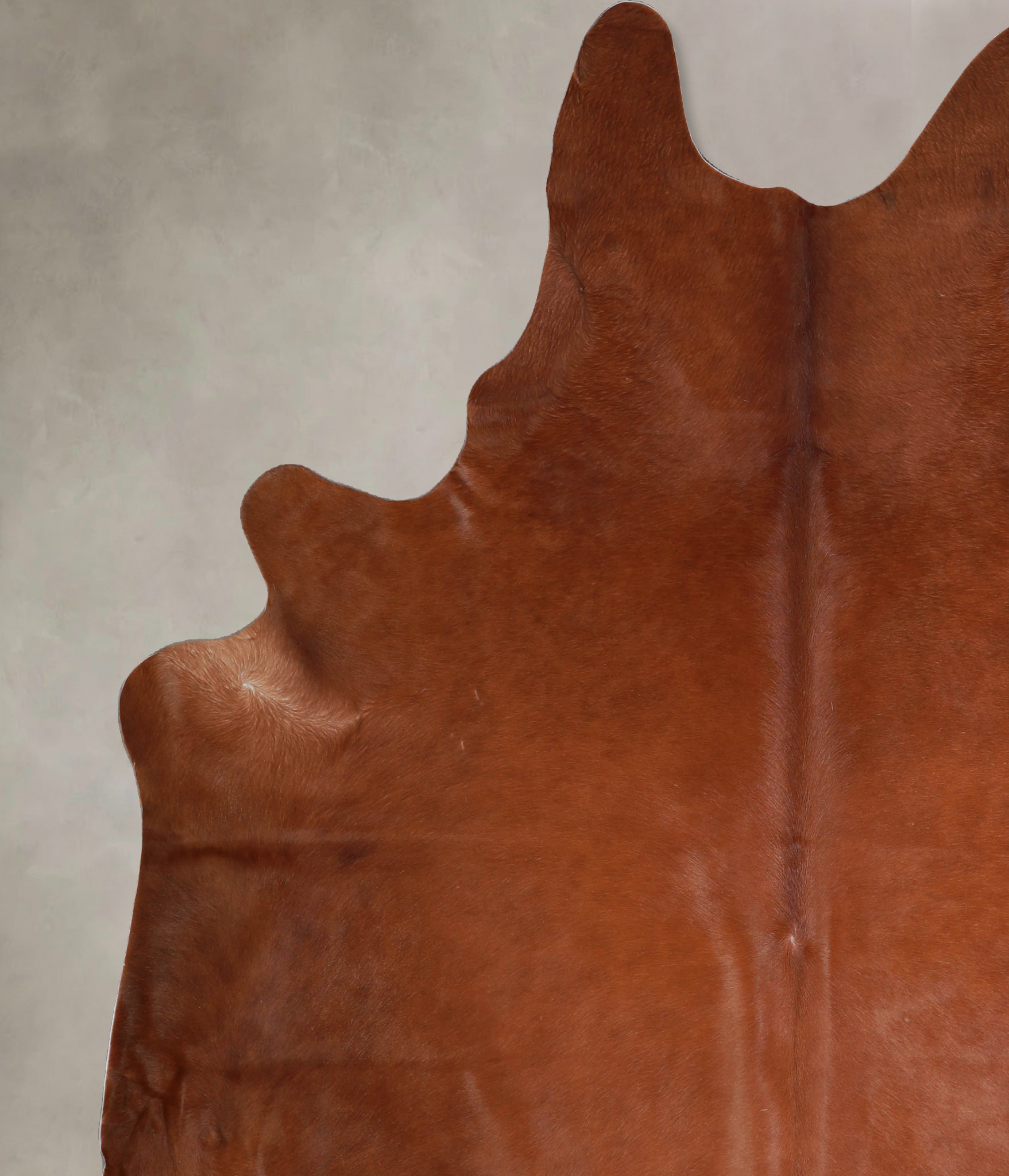 Solid Brown Cowhide Rug #A33299