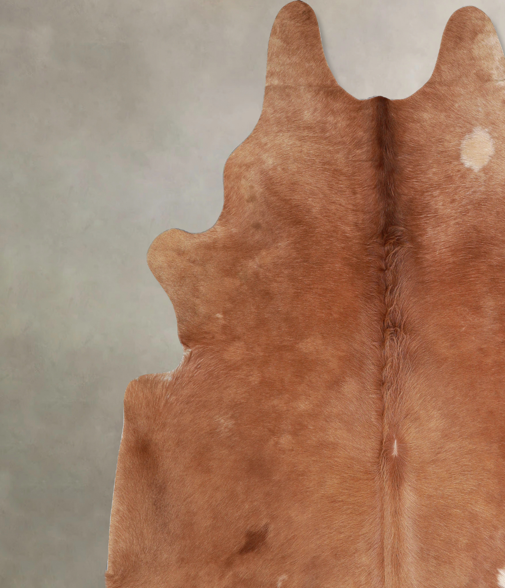 Solid Brown Cowhide Rug #A33376