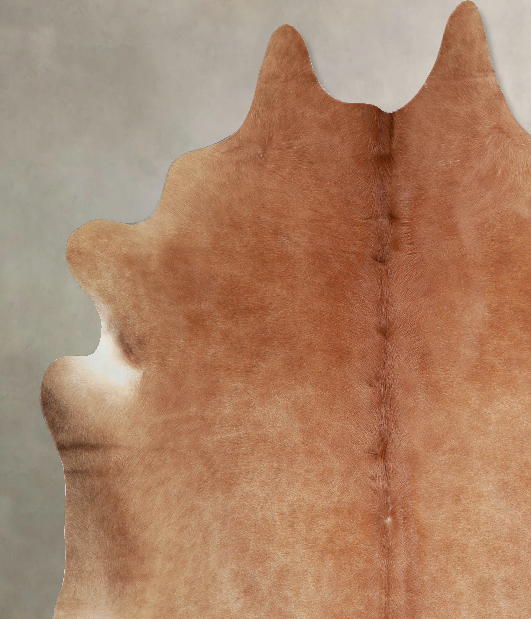 Solid Brown Cowhide Rug #A33394