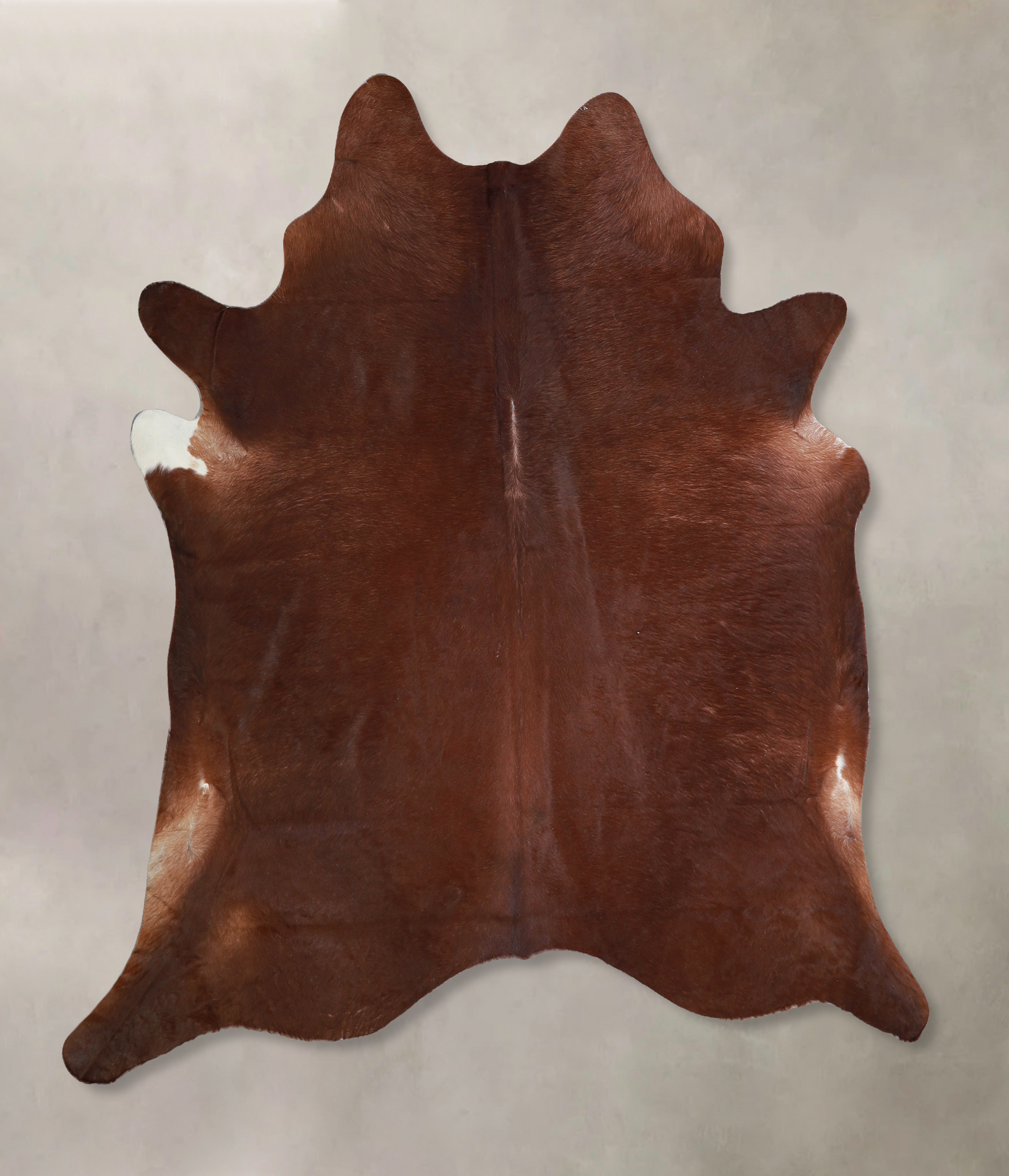 Solid Brown Cowhide Rug #A33434