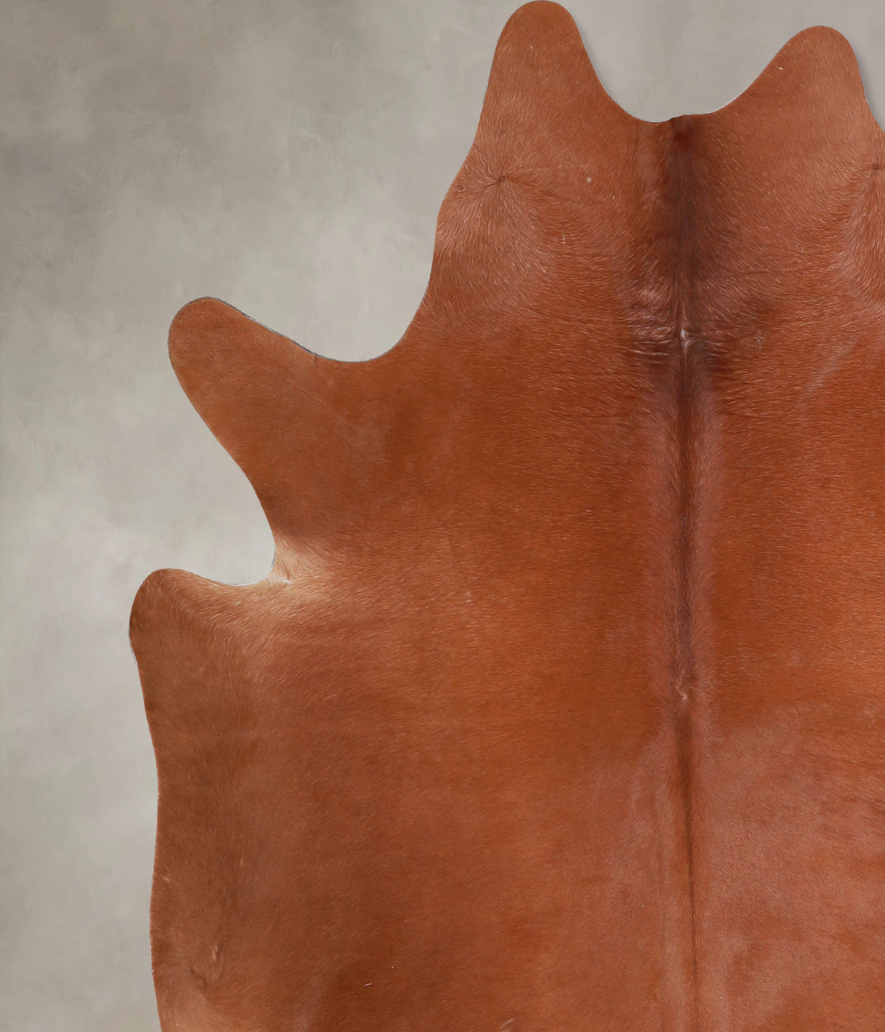 Solid Brown Cowhide Rug #A33507