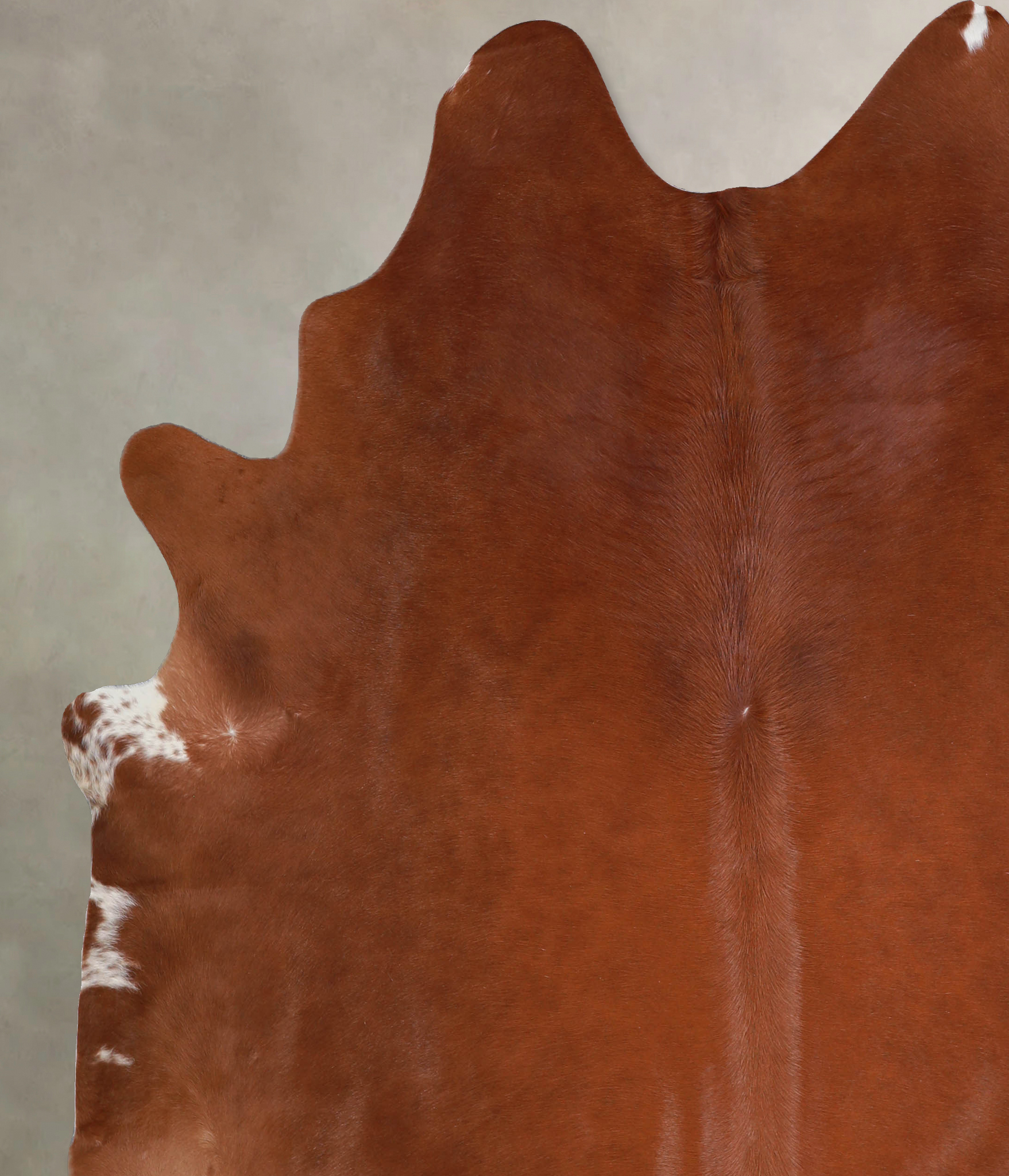 Solid Brown Cowhide Rug #A33533
