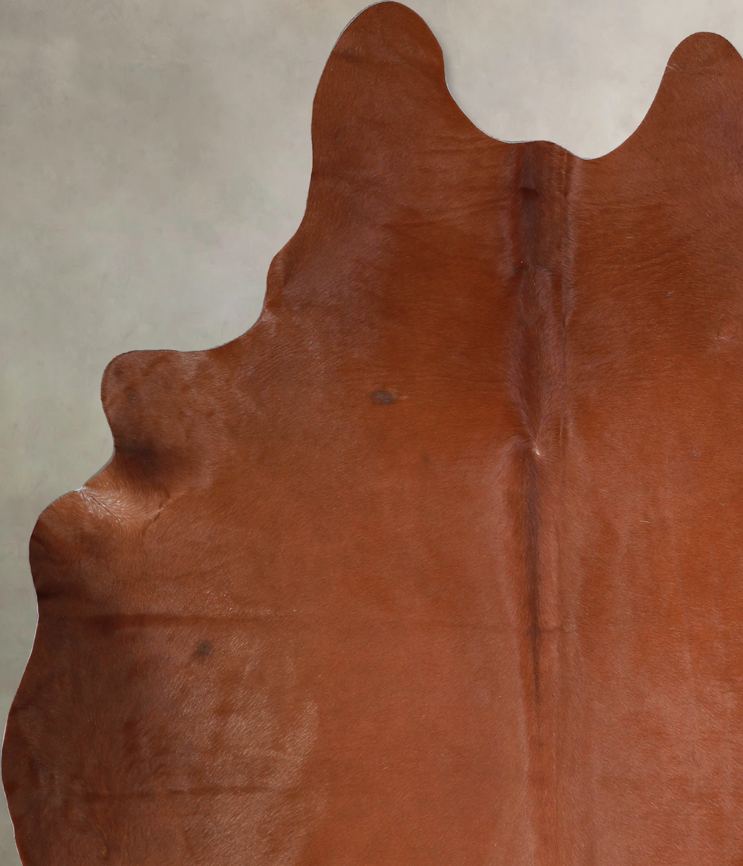 Solid Brown X-Large Brazilian Cowhide Rug 7'2"H x 6'1"W #A33540 by Hud