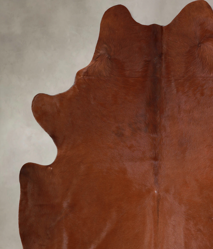 Solid Brown X-Large Brazilian Cowhide Rug 7'2"H x 6'2"W #A33551 by Hudson Hides