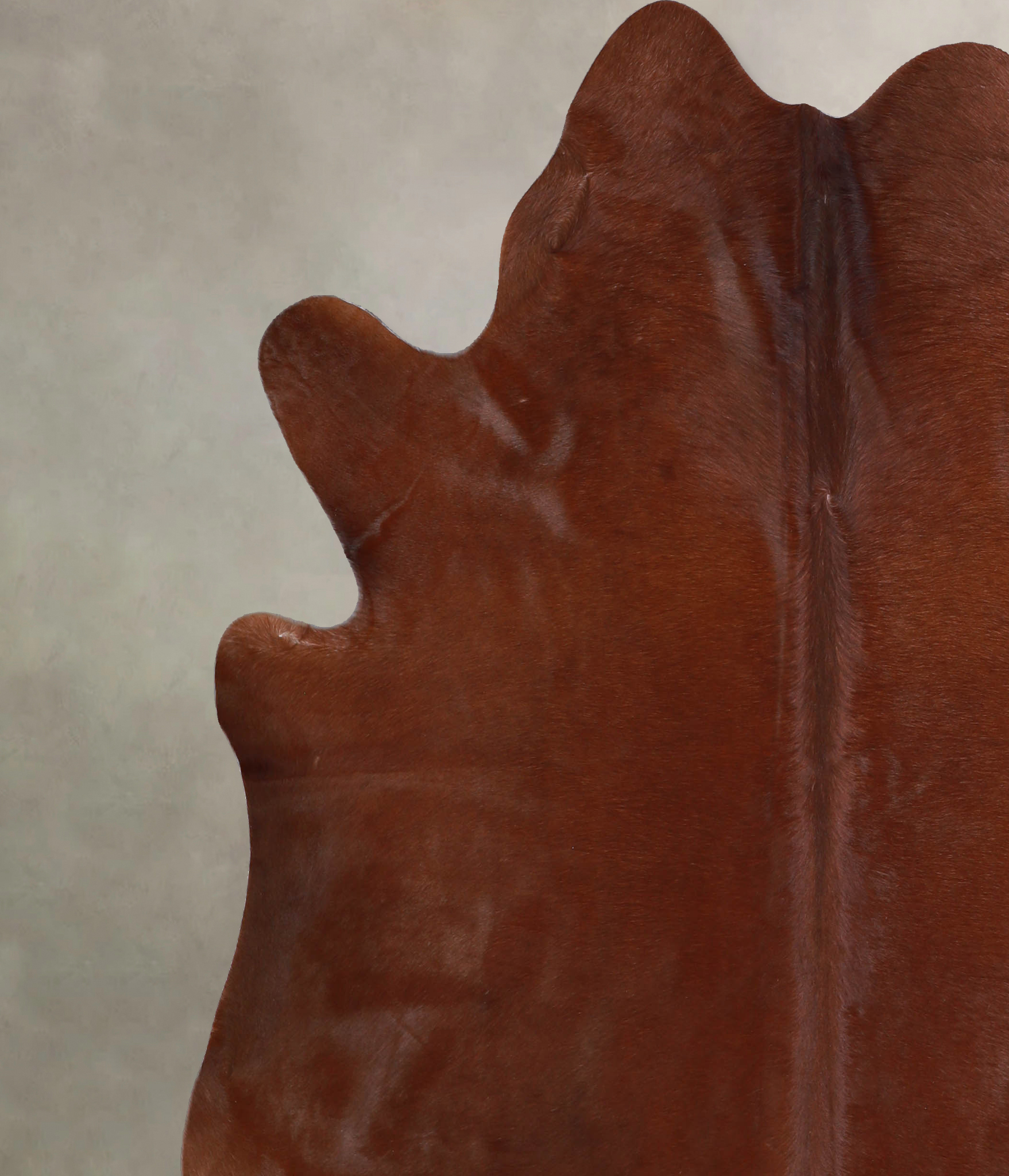 Solid Brown Cowhide Rug #A33568
