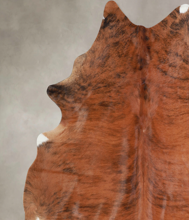 Medium Brindle X-Large Brazilian Cowhide Rug 7'5"H x 6'8"W #A33580 by Hudson Hides