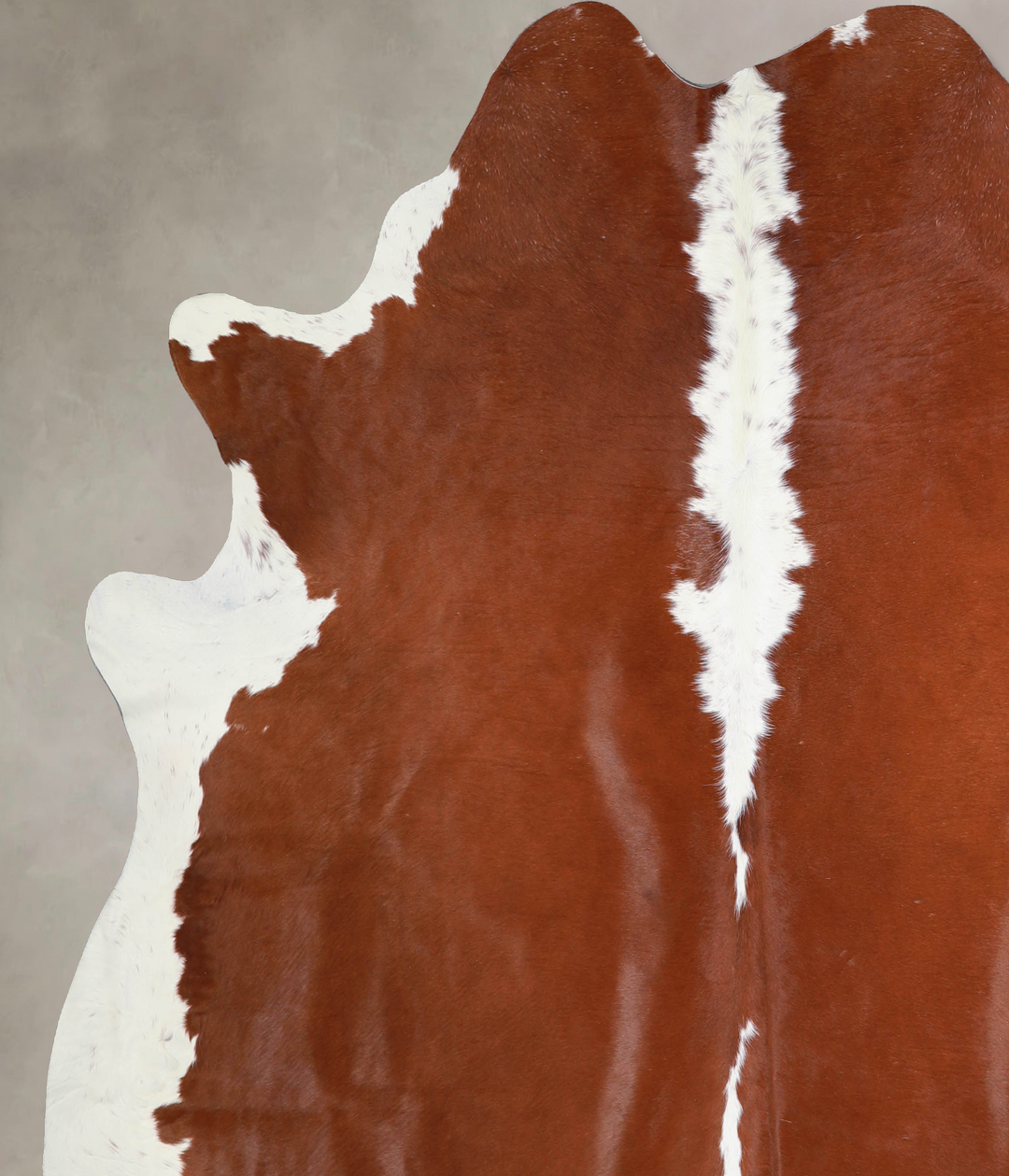 Hereford XX-Large Brazilian Cowhide Rug 7'9"H x 7'3"W #A33634 by Hudso