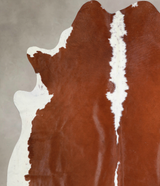 Hereford XX-Large Brazilian Cowhide Rug 7'9"H x 7'3"W #A33634 by Hudson Hides