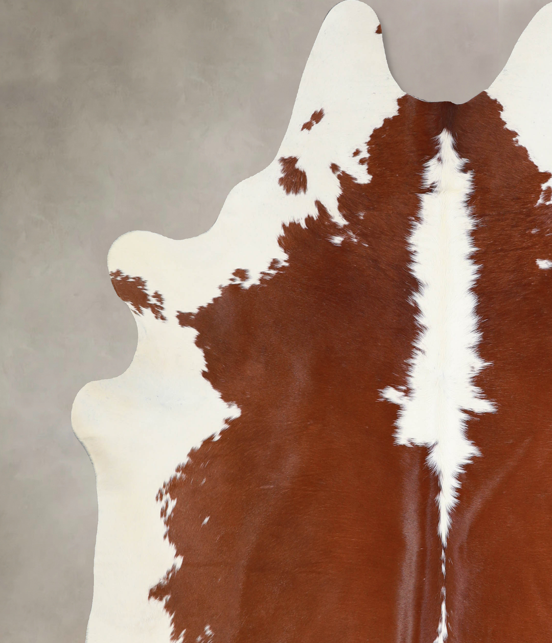 Hereford X-Large Brazilian Cowhide Rug 7'0"H x 6'8"W #A33636 by Hudson