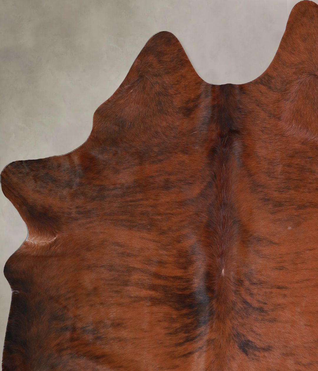Medium Brindle X-Large Brazilian Cowhide Rug 7'3"H x 5'7"W #A33668 by 