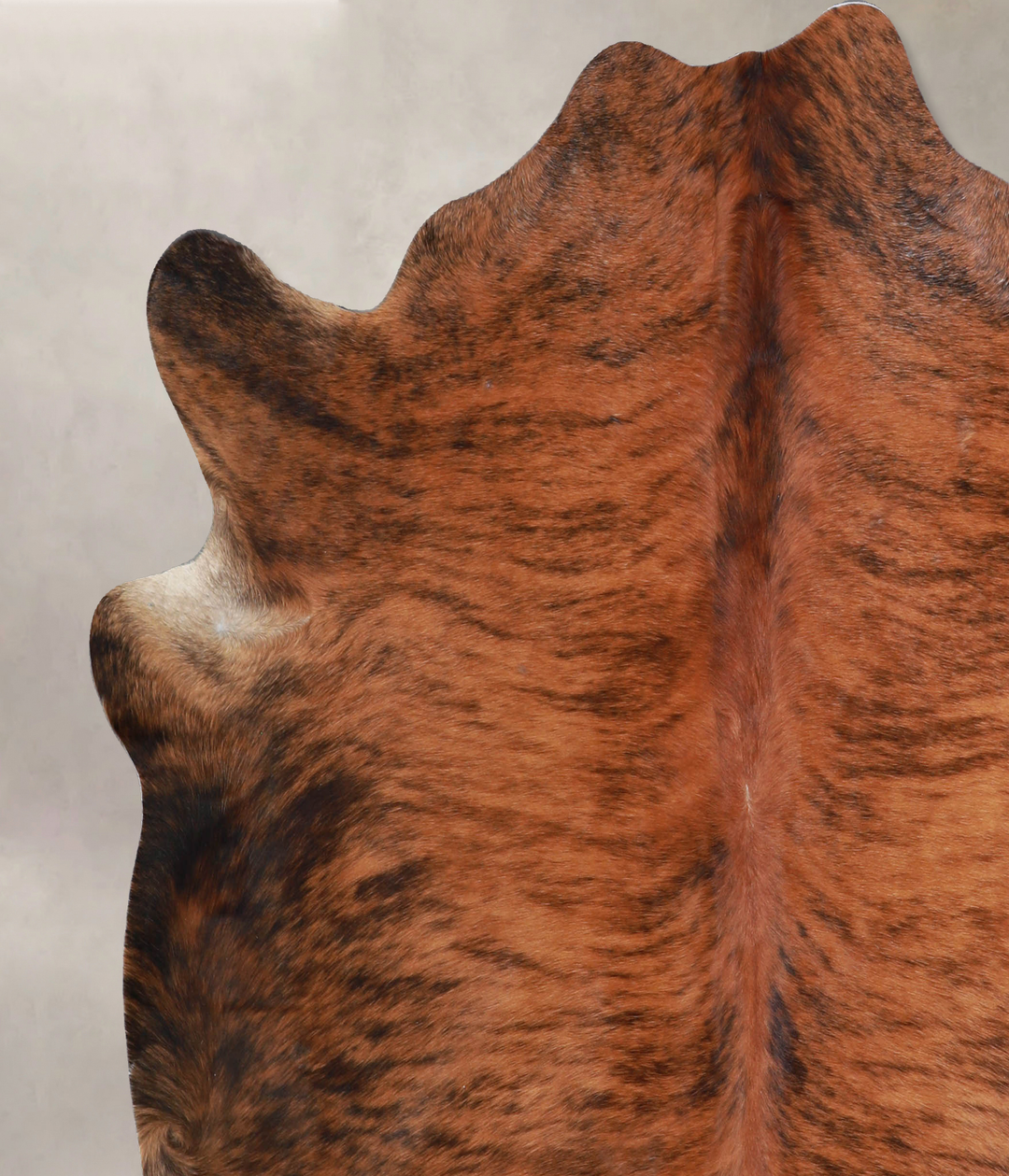 Medium Brindle X-Large Brazilian Cowhide Rug 6'4"H x 6'6"W #A33697 by 