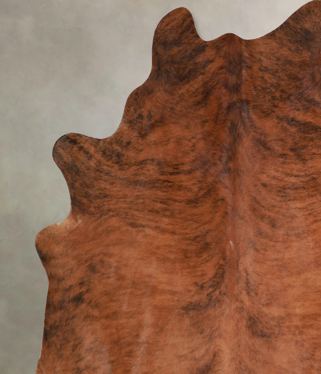 Medium Brindle X-Large Brazilian Cowhide Rug 6'9"H x 6'5"W #A33712 by 